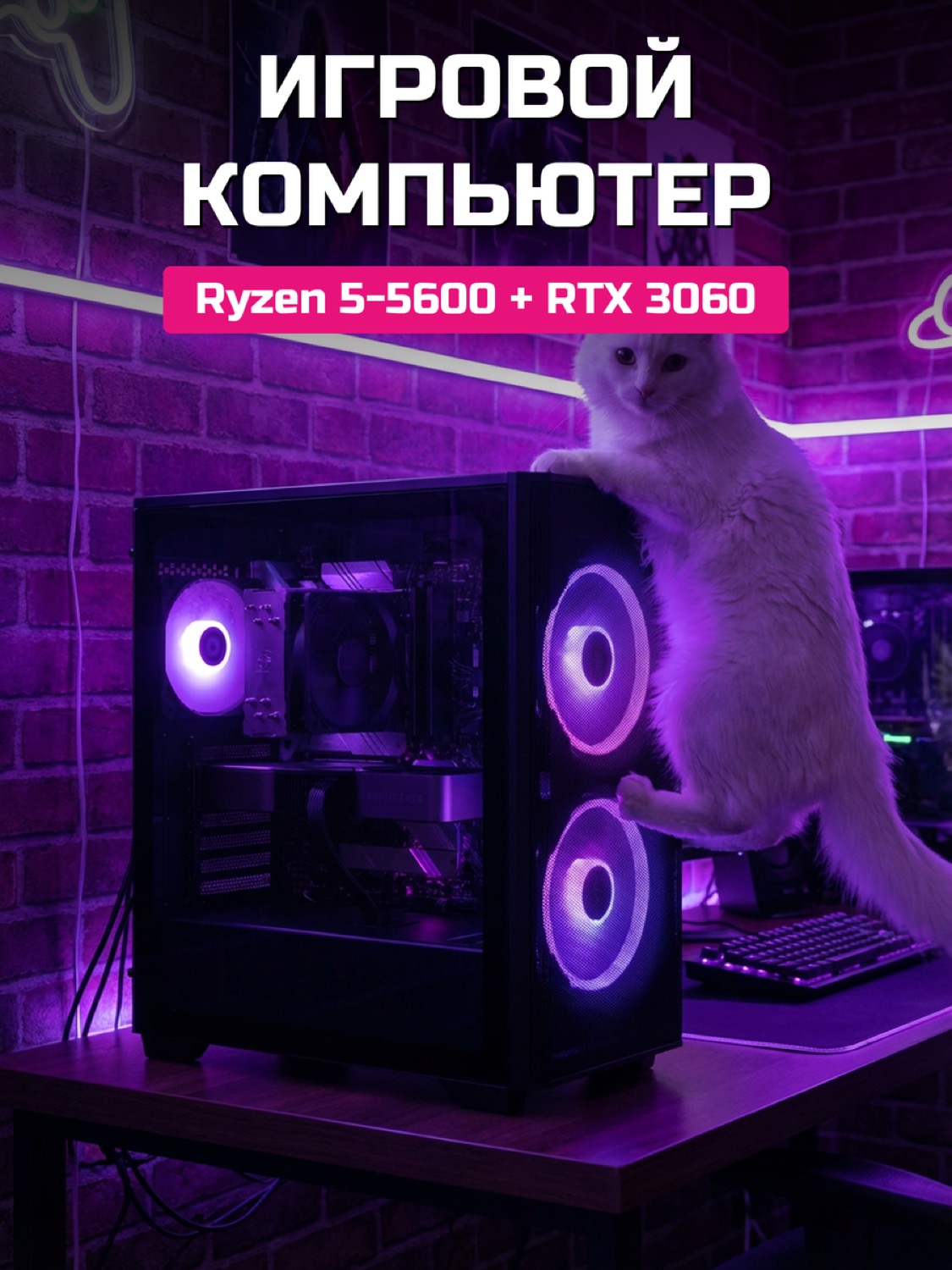 Ryzen 5 5600 RTX 3060 12 GB